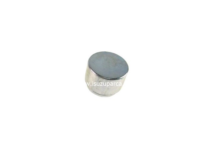 Fuso Canter Kaliper Piston EURO5 2012- Sonrası