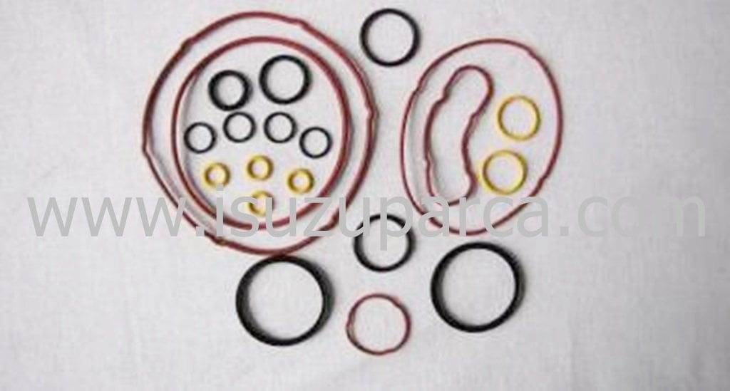 Oring Takımı Npr66/Npr71/Nqr